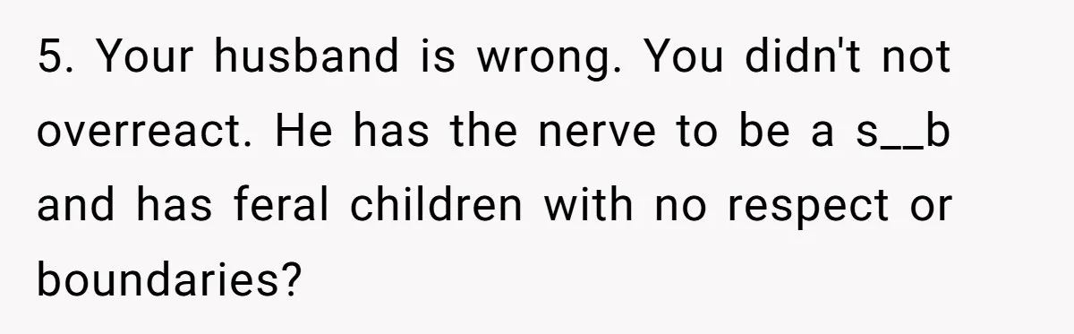 5. Your husband is wrong. You didn't not overreact. He has the nerve to be a s__b and has feral children with no respect or boundaries?
