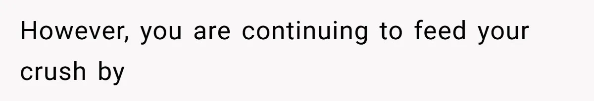 However, you are continuing to feed your crush by