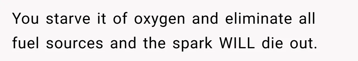 You starve it of oxygen and eliminate all fuel sources and the spark WILL die out.