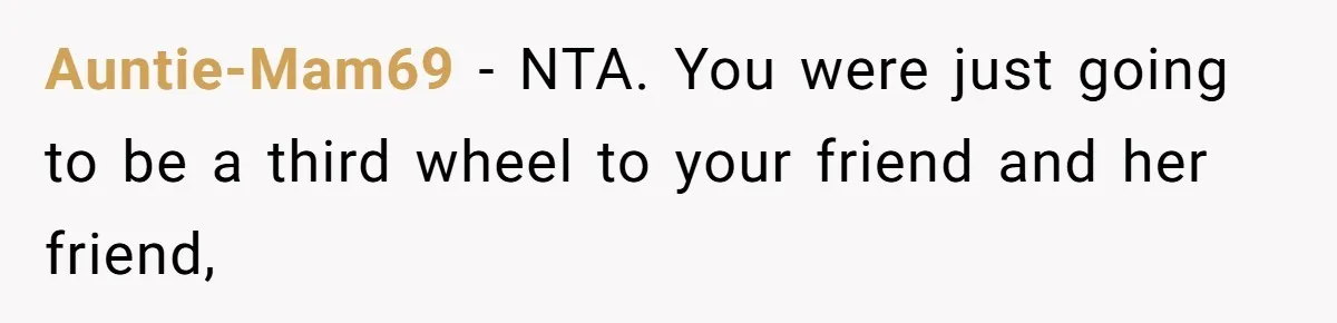 Auntie-Mam69 − NTA. You were just going to be a third wheel to your friend and her friend,