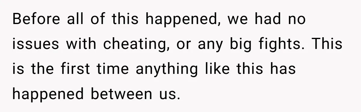 Before all of this happened, we had no issues with cheating, or any big fights. This is the first time anything like this has happened between us.