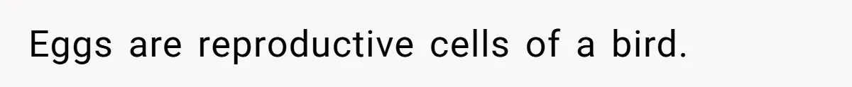 Eggs are reproductive cells of a bird.