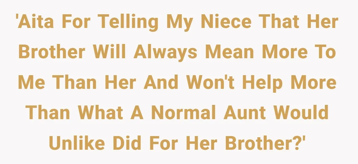 'AITA for telling my niece that her brother will always mean more to me than her and won't help more than what a normal Aunt would unlike did for her...