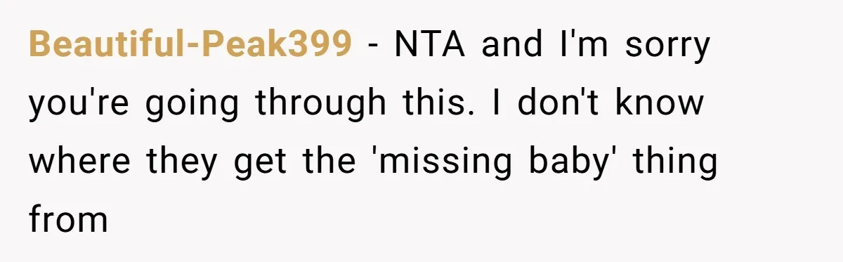 Beautiful-Peak399 − NTA and I'm sorry you're going through this. I don't know where they get the 'missing baby' thing from
