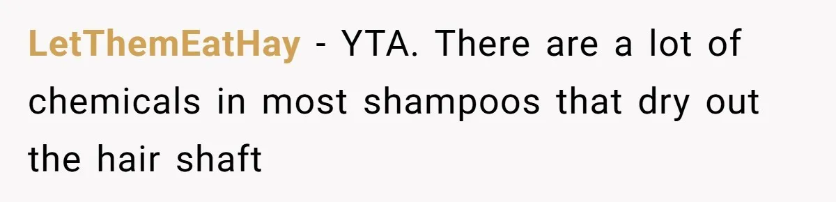 LetThemEatHay − YTA. There are a lot of chemicals in most shampoos that dry out the hair shaft