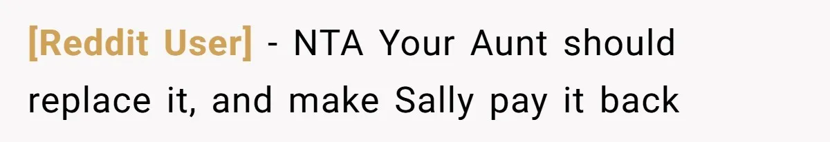 [Reddit User] − NTA Your Aunt should replace it, and make Sally pay it back