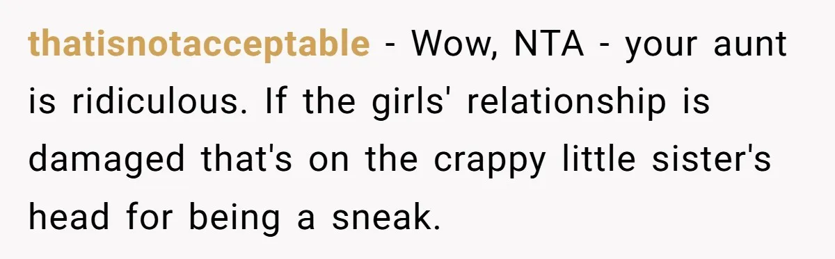 thatisnotacceptable − Wow, NTA - your aunt is ridiculous. If the girls' relationship is damaged that's on the crappy little sister's head for being a sneak.