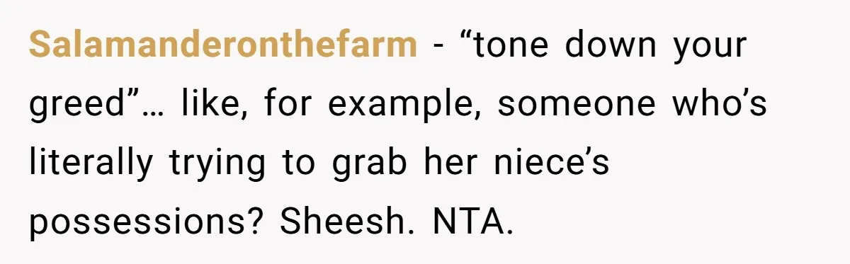 Salamanderonthefarm − “tone down your greed”… like, for example, someone who’s literally trying to grab her niece’s possessions? Sheesh. NTA.