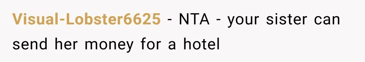 Visual-Lobster6625 − NTA - your sister can send her money for a hotel