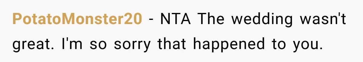 PotatoMonster20 − NTA The wedding wasn't great. I'm so sorry that happened to you.