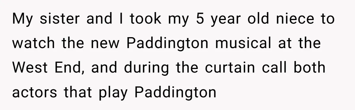 My sister and I took my 5 year old niece to watch the new Paddington musical at the West End, and during the curtain call both actors that play Paddington