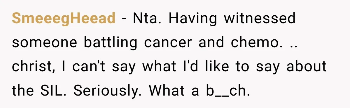 SmeeegHeead − Nta. Having witnessed someone battling cancer and chemo. .. christ, I can't say what I'd like to say about the SIL. Seriously. What a b__ch.