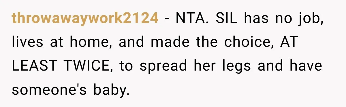 throwawaywork2124 − NTA. SIL has no job, lives at home, and made the choice, AT LEAST TWICE, to spread her legs and have someone's baby.