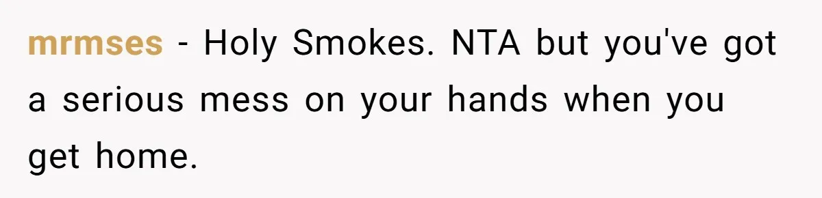 mrmses − Holy Smokes. NTA but you've got a serious mess on your hands when you get home.