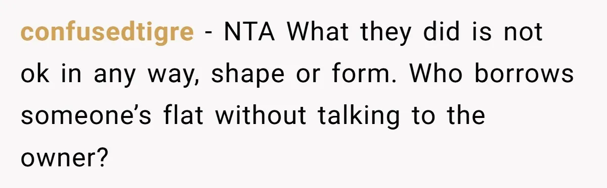 confusedtigre − NTA What they did is not ok in any way, shape or form. Who borrows someone’s flat without talking to the owner?
