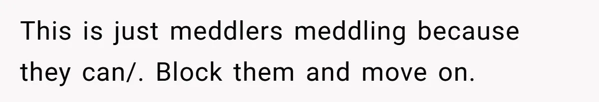This is just meddlers meddling because they can/. Block them and move on.