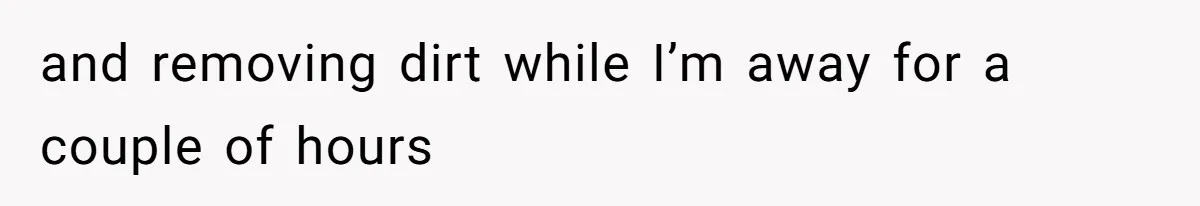 and removing dirt while I’m away for a couple of hours