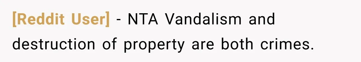 [Reddit User] − NTA Vandalism and destruction of property are both crimes.