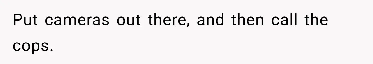 Put cameras out there, and then call the cops.