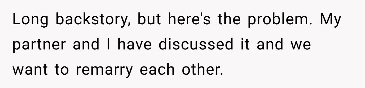 Long backstory, but here's the problem. My partner and I have discussed it and we want to remarry each other.