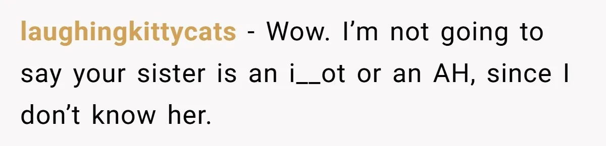 laughingkittycats − Wow. I’m not going to say your sister is an i__ot or an AH, since I don’t know her.
