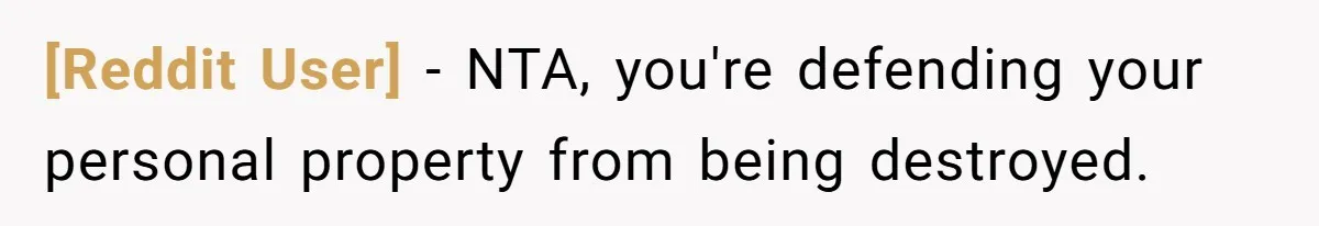 [Reddit User] − NTA, you're defending your personal property from being destroyed.