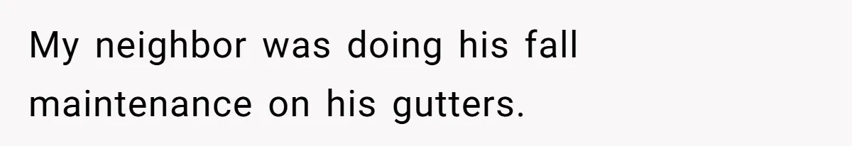 My neighbor was doing his fall maintenance on his gutters.