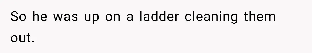 So he was up on a ladder cleaning them out.
