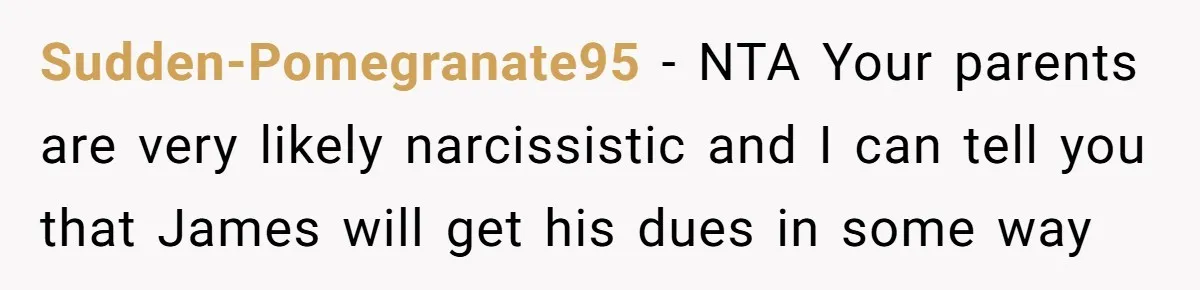 Sudden-Pomegranate95 − NTA Your parents are very likely narcissistic and I can tell you that James will get his dues in some way