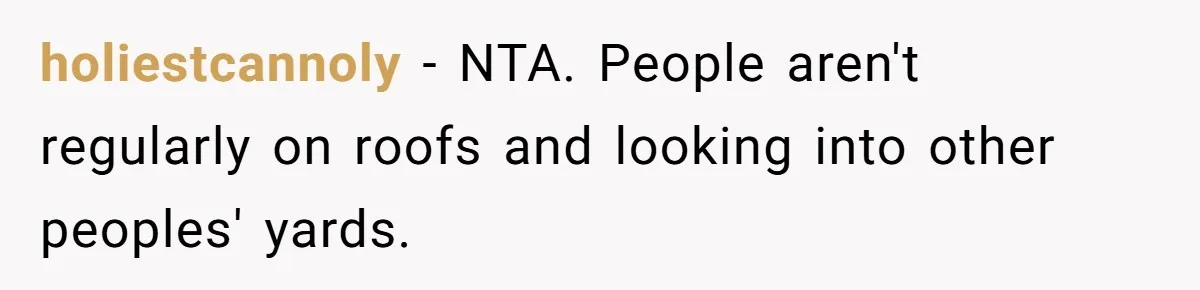 holiestcannoly − NTA. People aren't regularly on roofs and looking into other peoples' yards.