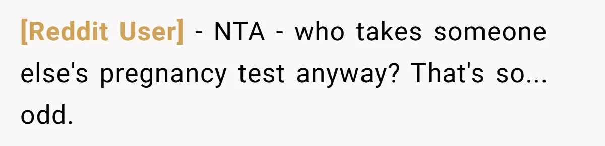 [Reddit User] − NTA - who takes someone else's pregnancy test anyway? That's so... odd.