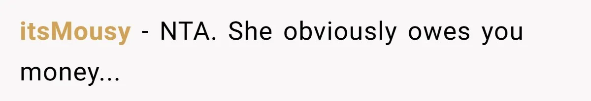 itsMousy − NTA. She obviously owes you money...