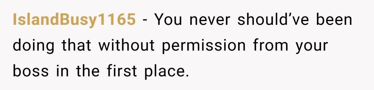IslandBusy1165 − You never should’ve been doing that without permission from your boss in the first place.