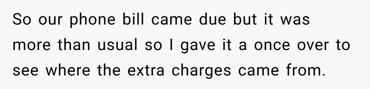 So our phone bill came due but it was more than usual so I gave it a once over to see where the extra charges came from.
