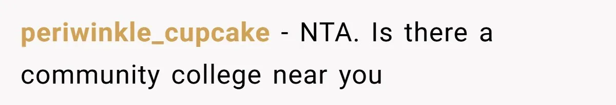periwinkle_cupcake − NTA. Is there a community college near you