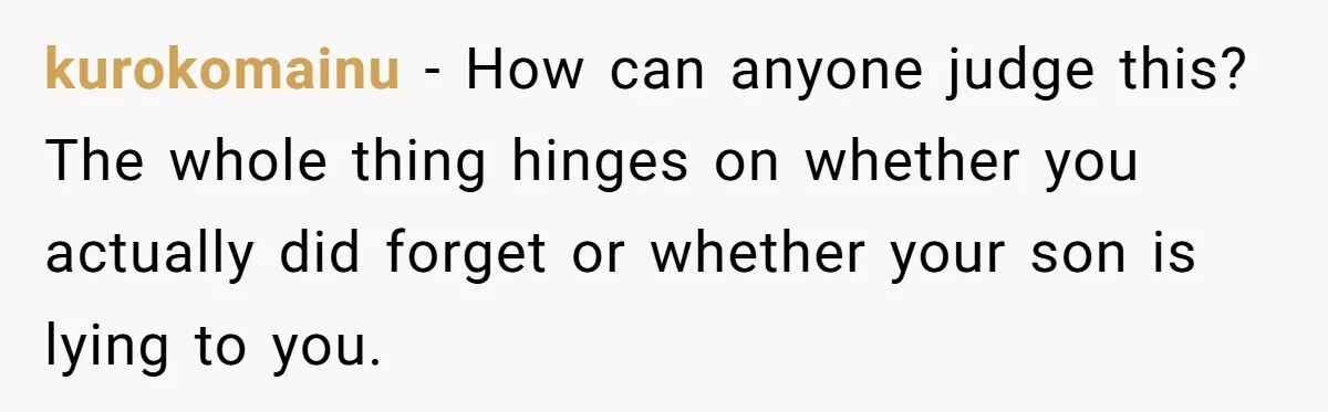 kurokomainu − How can anyone judge this? The whole thing hinges on whether you actually did forget or whether your son is lying to you.