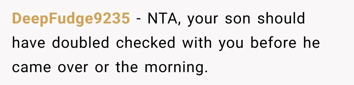 DeepFudge9235 − NTA, your son should have doubled checked with you before he came over or the morning.
