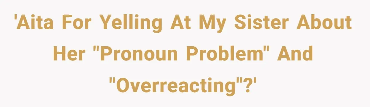 'AITA for yelling at my sister about her "pronoun problem" and "overreacting"?'