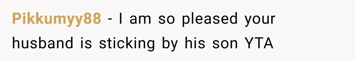 Pikkumyy88 − I am so pleased your husband is sticking by his son YTA