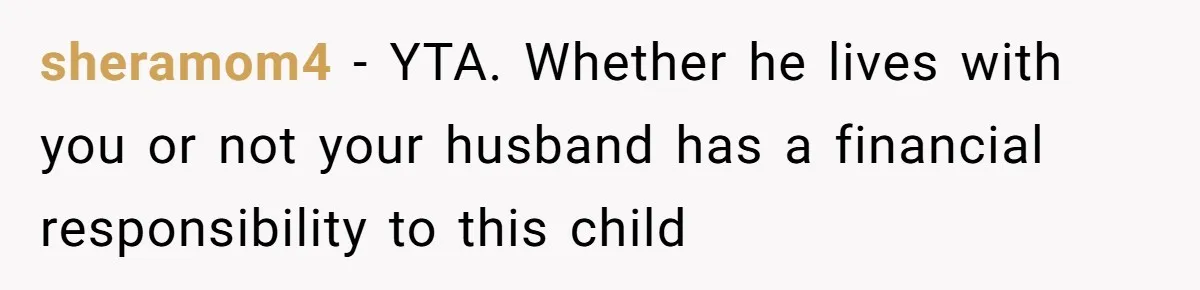 sheramom4 − YTA. Whether he lives with you or not your husband has a financial responsibility to this child