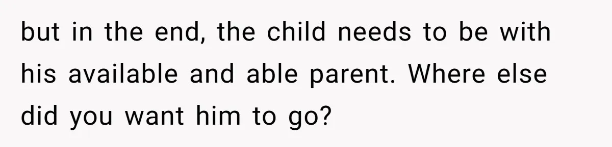 but in the end, the child needs to be with his available and able parent. Where else did you want him to go?