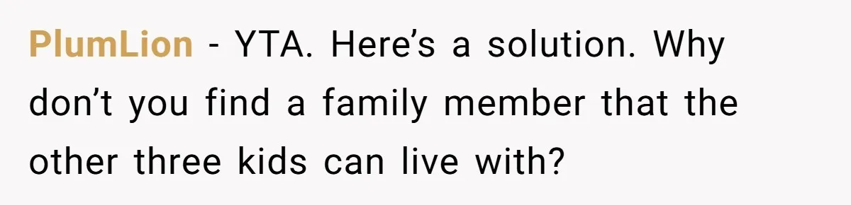 PlumLion − YTA. Here’s a solution. Why don’t you find a family member that the other three kids can live with?