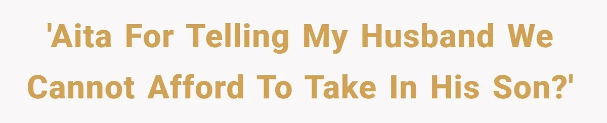 'AITA for telling my husband we cannot afford to take in his son?'