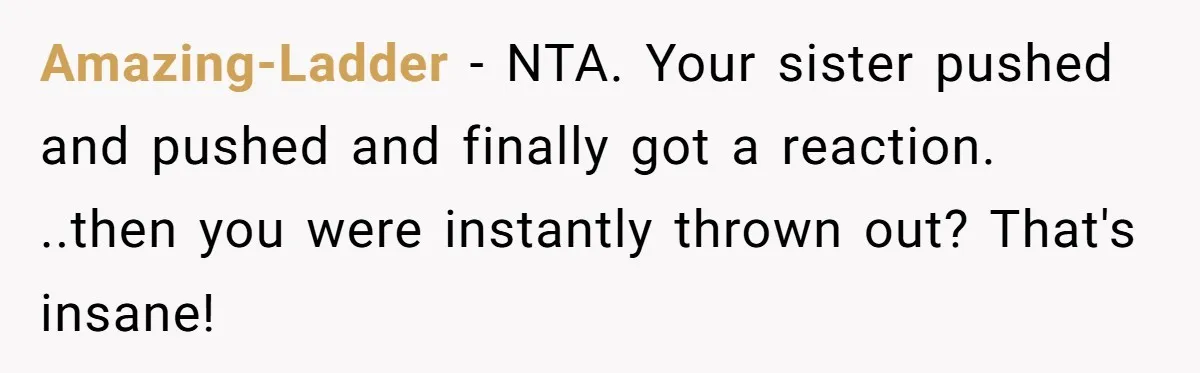 Amazing-Ladder − NTA. Your sister pushed and pushed and finally got a reaction. ..then you were instantly thrown out? That's insane!