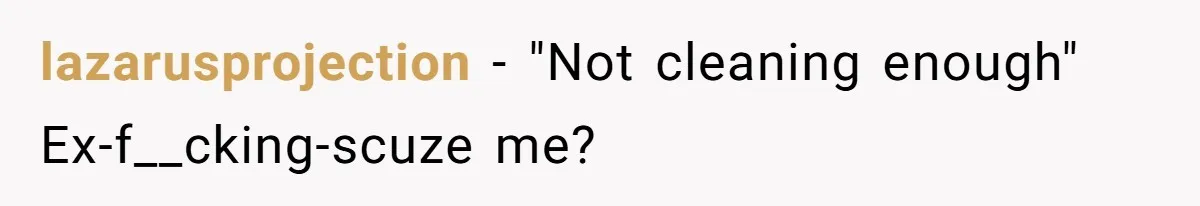 lazarusprojection − "Not cleaning enough"  Ex-f__cking-scuze me?