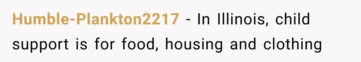 Humble-Plankton2217 − In Illinois, child support is for food, housing and clothing