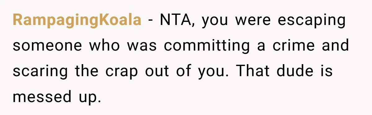 RampagingKoala − NTA, you were escaping someone who was committing a crime and scaring the crap out of you. That dude is messed up.