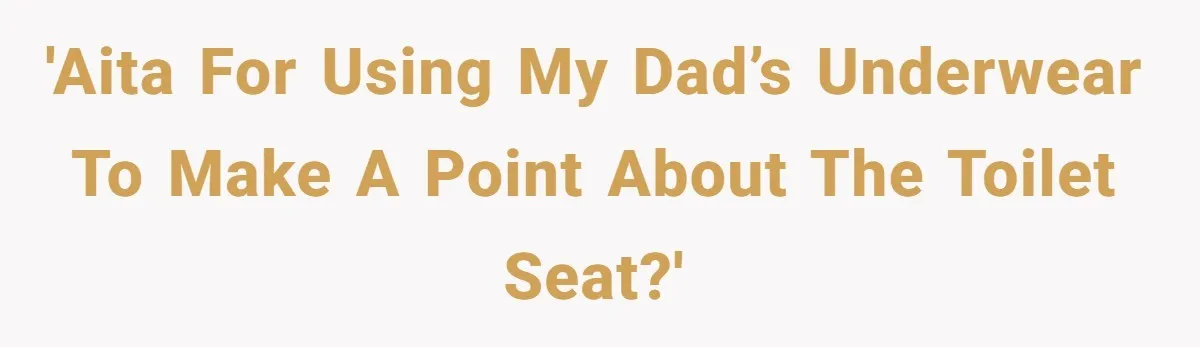 'AITA for using my dad’s underwear to make a point about the toilet seat?'