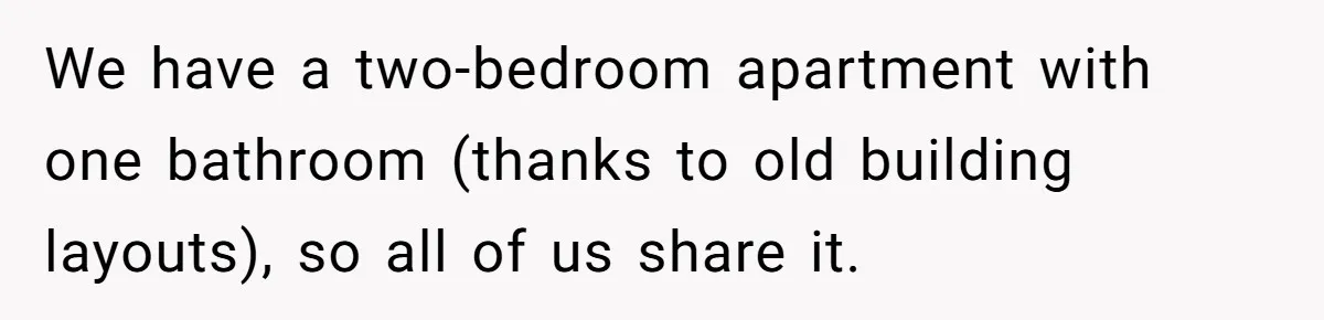 We have a two-bedroom apartment with one bathroom (thanks to old building layouts), so all of us share it.