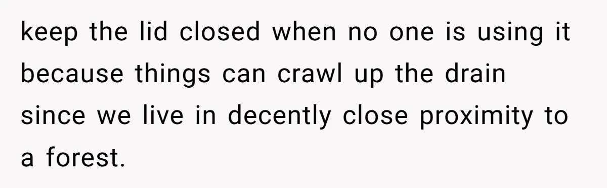 keep the lid closed when no one is using it because things can crawl up the drain since we live in decently close proximity to a forest.